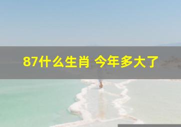 87什么生肖 今年多大了